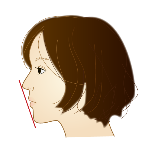 美しいEライン